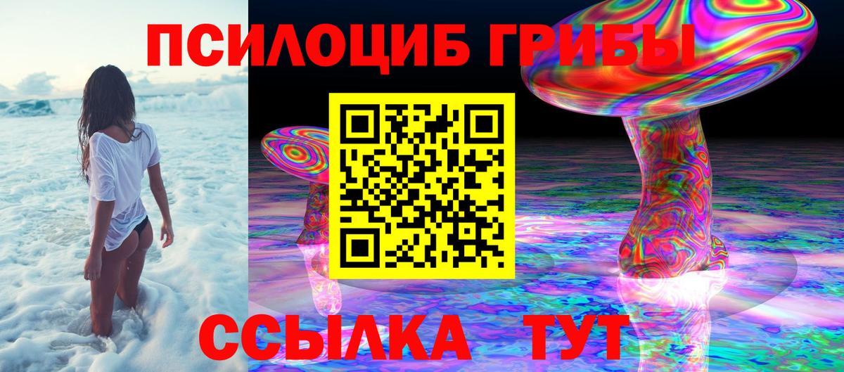 Псилоцибиновые грибы Magic Shrooms Саяногорск