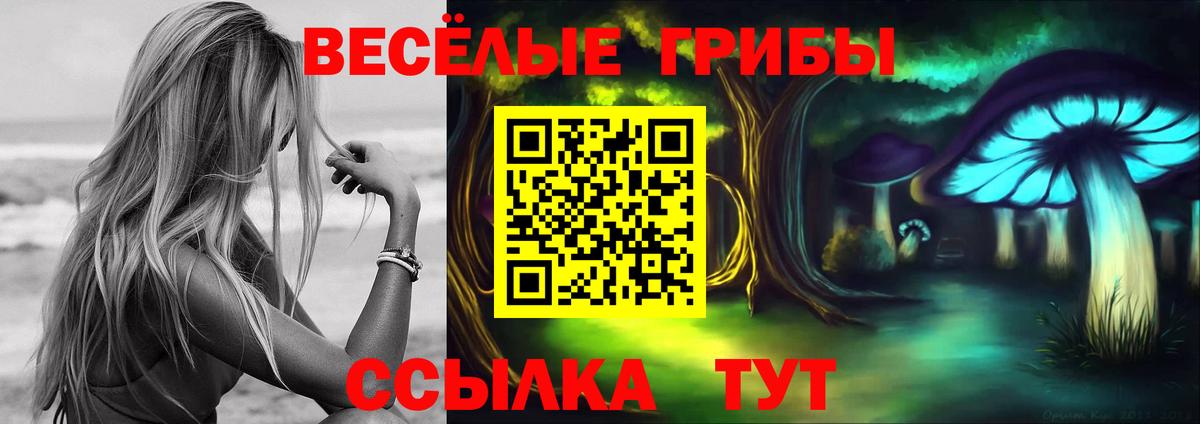 Саяногорск  Галлюциногенные грибы ЛСД  Вход с VPN  Псилоцибиновые грибы мухоморы 